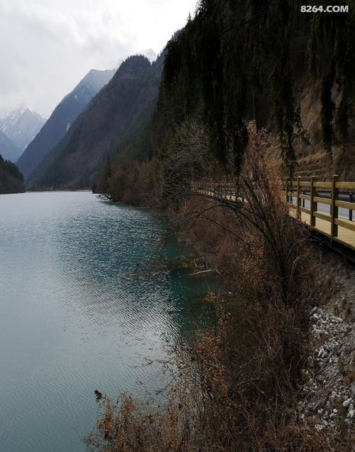 九寨溝樹正溝游覽體驗(yàn)與景區(qū)管理觀察