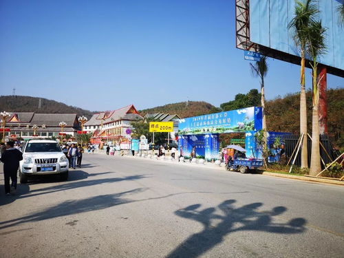 勐海縣市場監(jiān)督管理局強(qiáng)化2019年首屆打洛口岸工藝品展銷會及旅行社服務(wù)監(jiān)管